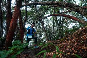 BIB: 
                            <button type="button" onclick="openModal(26345250)" class="btn btn-primary btn-sm float-right btn-popup" data-toggle="modal" data-target=".modal-high-quality">
                        <i class="fas fa-shopping-cart"></i> Add to Cart
                    </button>
                                            <button type="button" onclick="isThisMe(26345250, true)" class="btn btn-success btn-sm float-right btn-popup btn-isme hidden" data-toggle="tooltip" data-placement="bottom" title="นี่คือรูปของคุณใช่ไหม คลิกที่นี่เพื่อเอาเข้าอัลบั้ม">
                        <i class="fas fa-plus"></i> Add to album
                    </button>
                    <button type="button" onclick="isThisMe(26345250, false)" class="btn btn-warning btn-sm float-right btn-popup btn-isnotme hidden">
                        <i class="fas fa-ban"></i> Remove from album
                    </button>